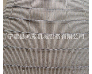 不銹鋼乙字型網帶