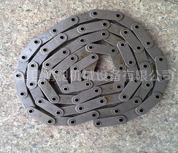 雙節距不銹鋼滾子鏈條